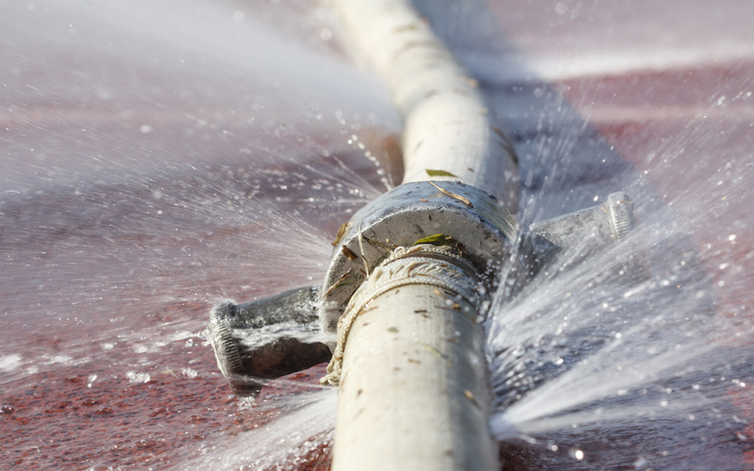 DIY vs. Professional Leak Detection: Pros and Cons